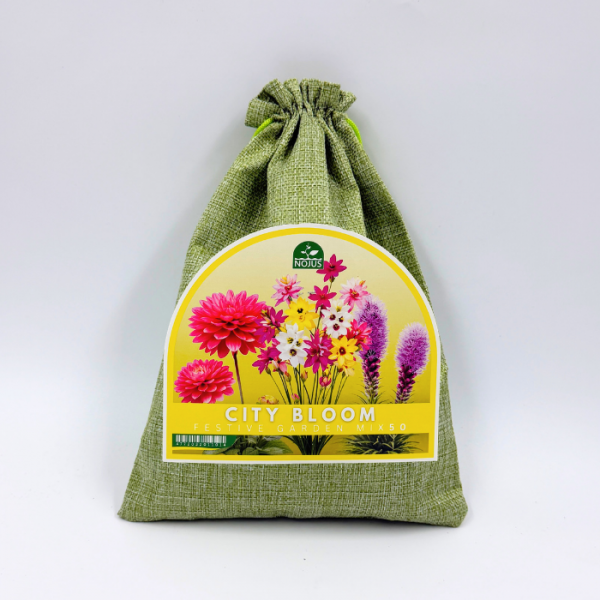 Lillesibulate komplekt „City Bloom Festive Garden Mix“ 50 tk