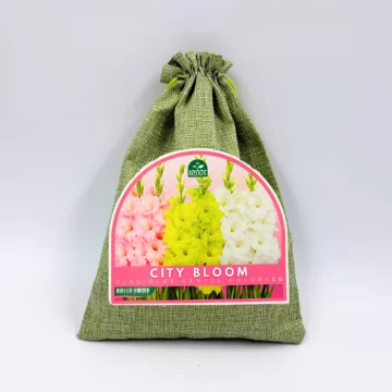 Gladioolisibulate komplekt...