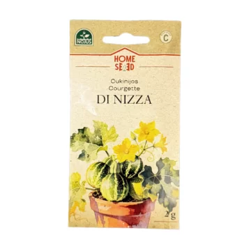 Suvikõrvits Di Nizza