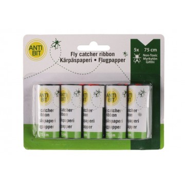 Kärbsepüüdja, 5 tk.