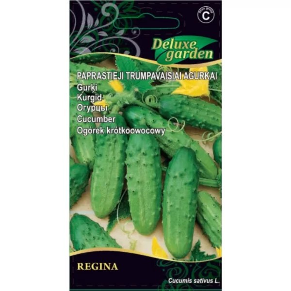 Tavalised lühikese varrega kurgid „Regina H“ 0,5 g