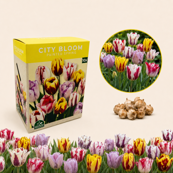 Sibulalillede komplekt „Painted Spring“