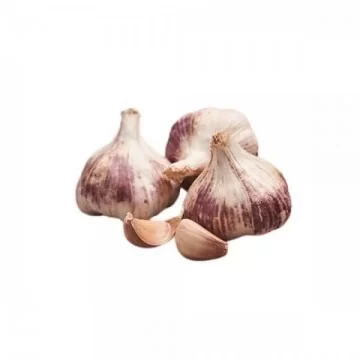 Germidour 50/60 talvine...