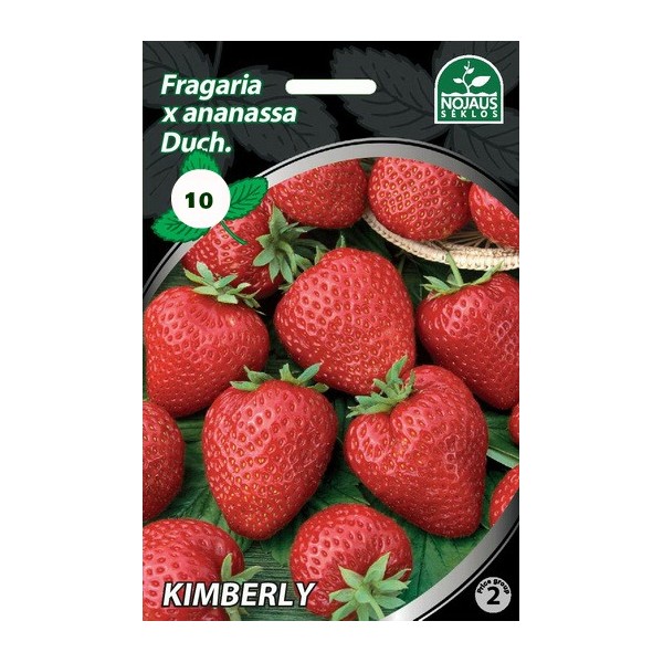 10tk KIMBERLY A Frigo maasikataimed