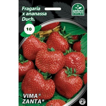 Frigo maasikataimed VIMA...