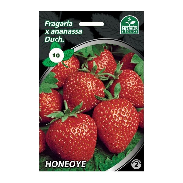 10tk HONEOYE A Frigo maasikataimed