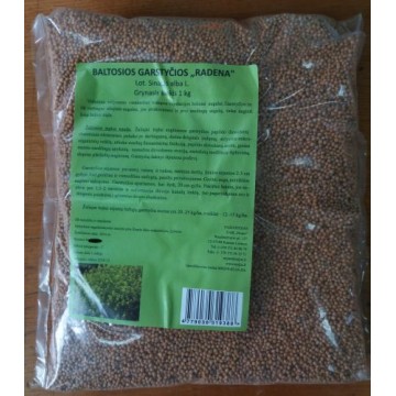 Rukis, haljasväetis (1 KG)