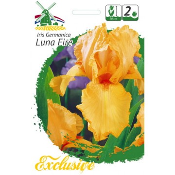 EXCLUSIVE Iiris LUNA FIRE