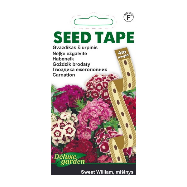 NELK JUBE SEEMNEPAELAS SWEET WILLIAM (MIX)