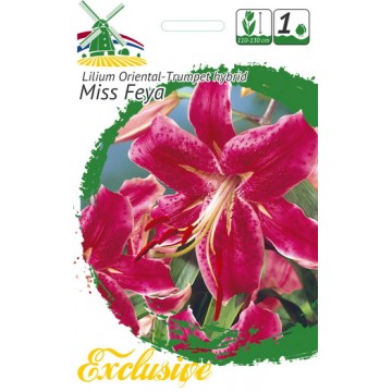EXCLUSIVE LELIJOS MISS FEYA