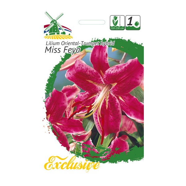 EXCLUSIVE LIILIA MISS FEYA 1tk