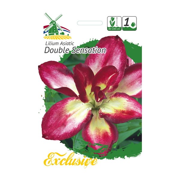 EXCLUSIVE Liilia DOUBLE SENSATION 1tk.