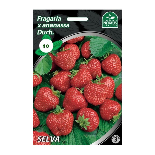 10tk SELVA Maasikas Seemikud FRIGO