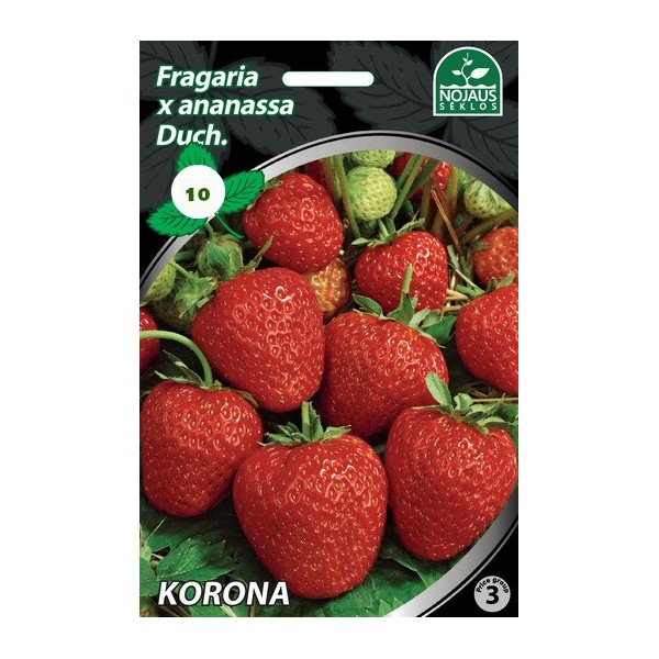 10tk KORONA A maasikataimed FRIGO