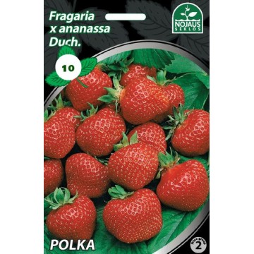 10tk POLKA A Frigo...