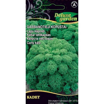 Curly Kale KADET