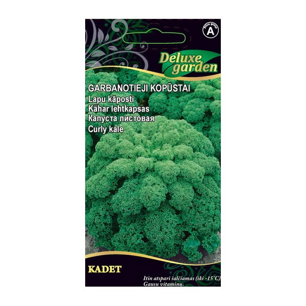 Curly Kale KADET