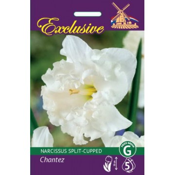 NARTSISSID EXCLUSIVE CHANTEZ