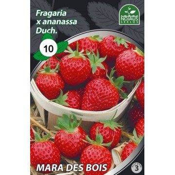 10tk MARA DES BOIS A Frigo...