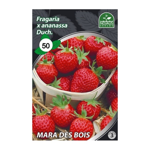 50tk. MARA DES BOIS Maasikas Seemikud FRIGO