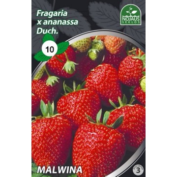 Frigo maasikataimed MALWINA...