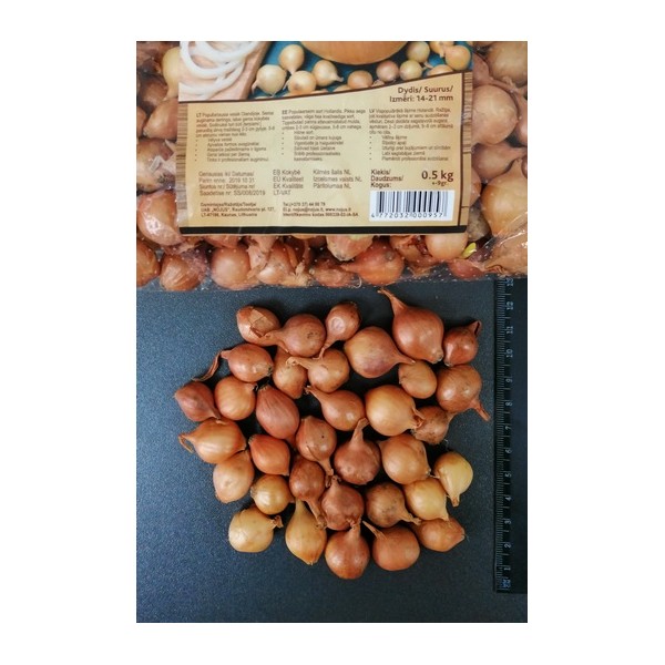 STUTTGARTER RIESEN 14/21 VĖLYVI SVOGŪNŲ SODINUKAI, (0.5 kg)