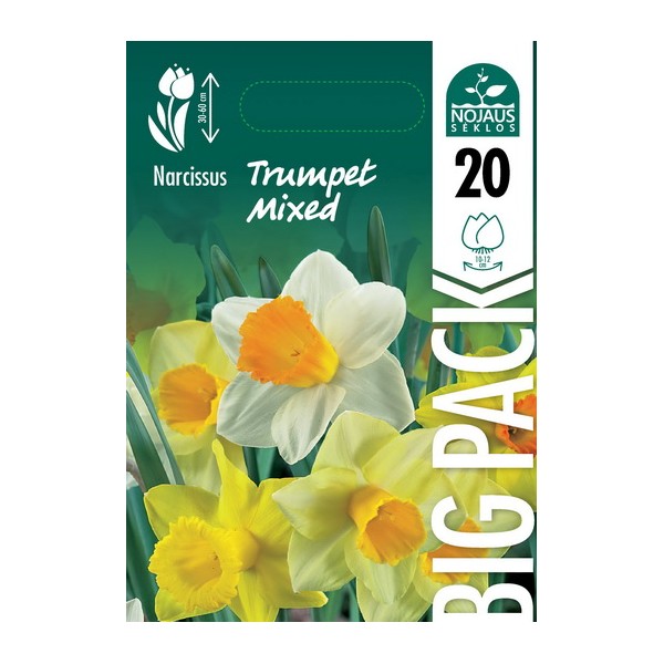 NARCISSUS BIG PACK TRUMPET MIXED 20 TK.
