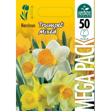 Nartsiss MEGA PACK TRUMPET...