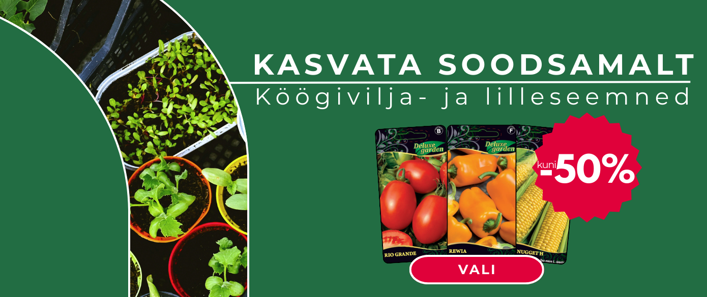 Sėklų AKCIJA 2026 EE