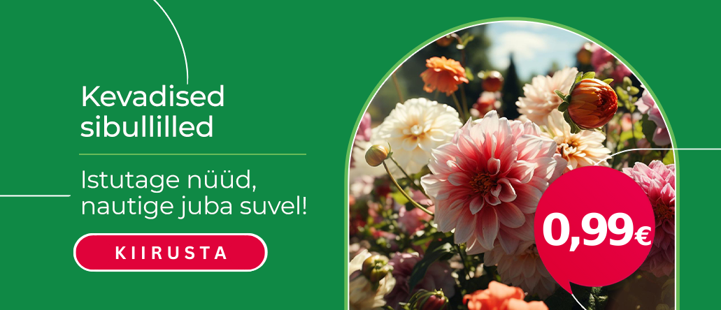 Svogūninės po 0,99€ EE
