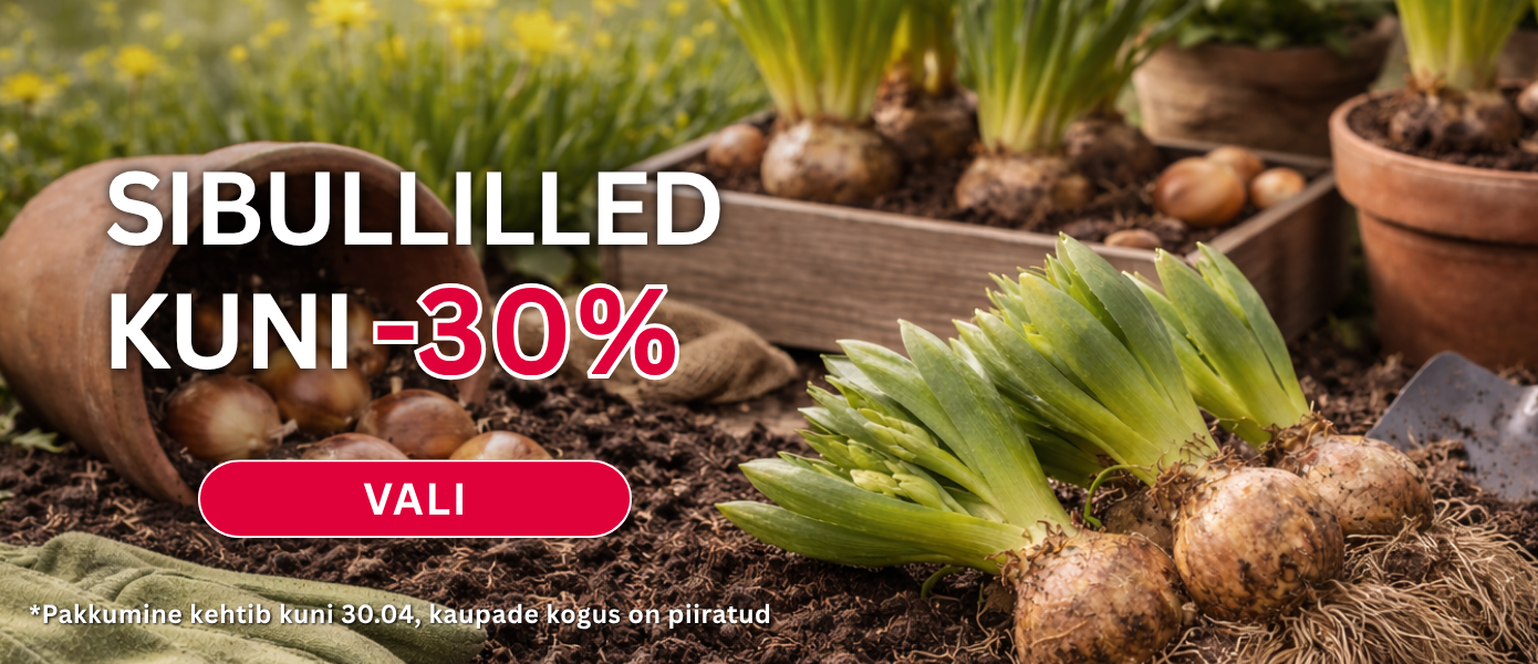 Svogūninių gėlių akcija EE