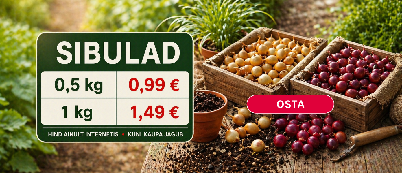 Svogūnų išpardavimas EE