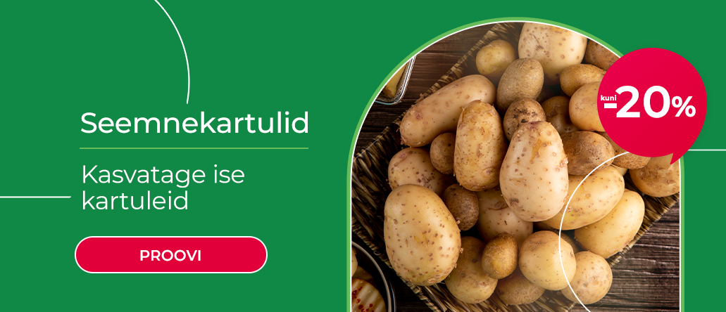 Bulvės -20% EE