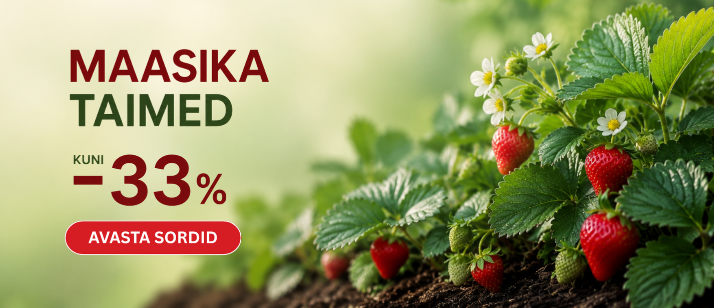 Braškių AKCIJA -33% EE