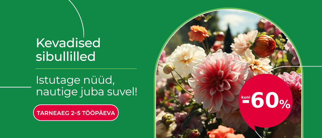 Svogūninės EE Nuolaidos iki 60%