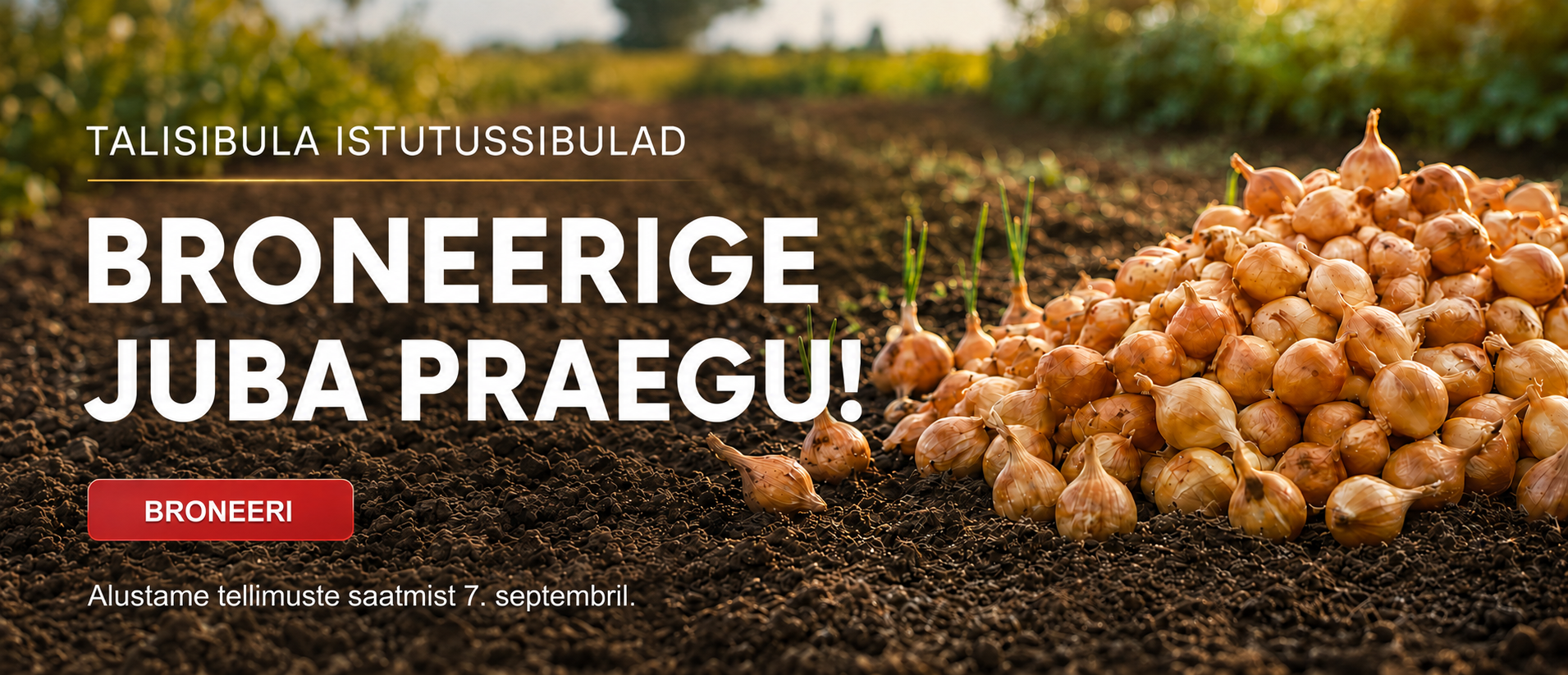 Svogūnų rezervacija EE