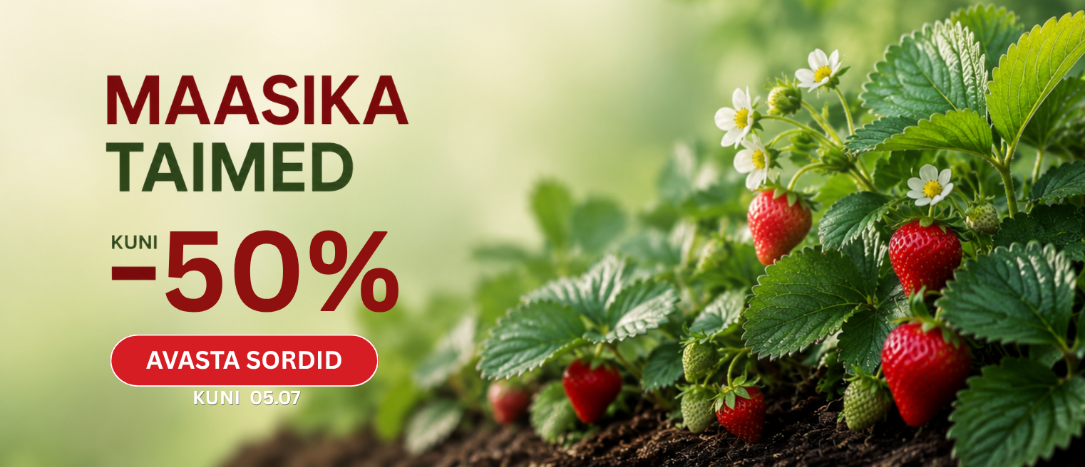 Braškių AKCIJA -33% EE