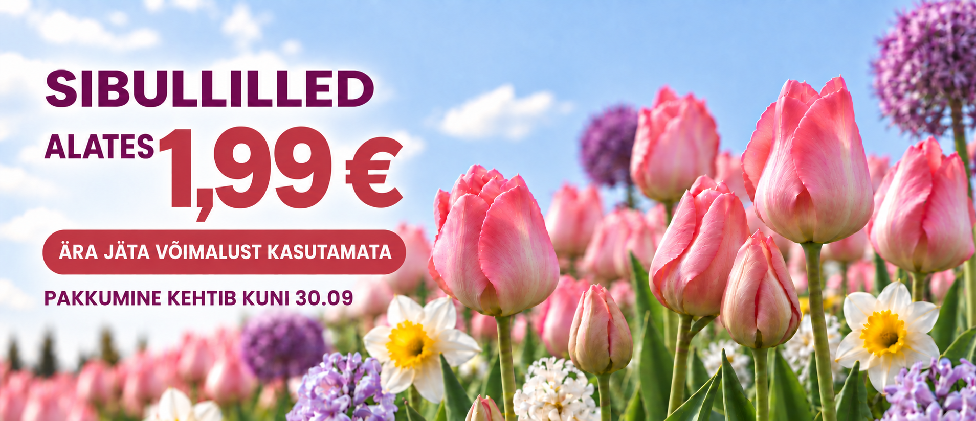Svogūninių akcija nuo 1,99€ EE