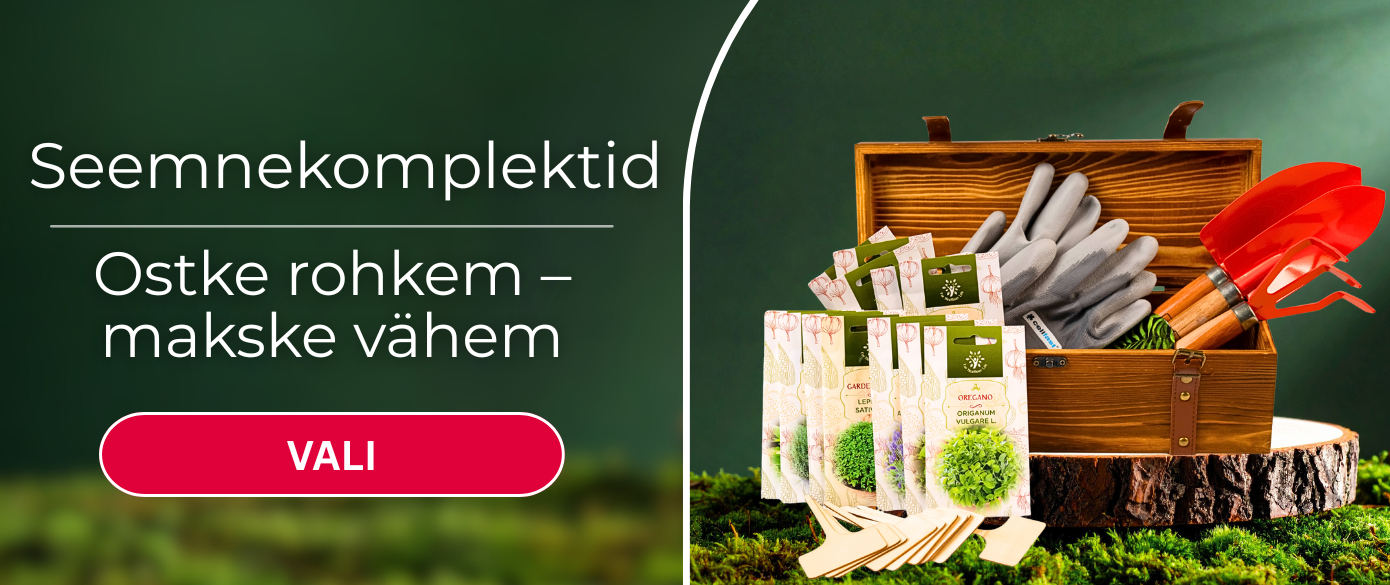 Sėklų rinkiniai EE