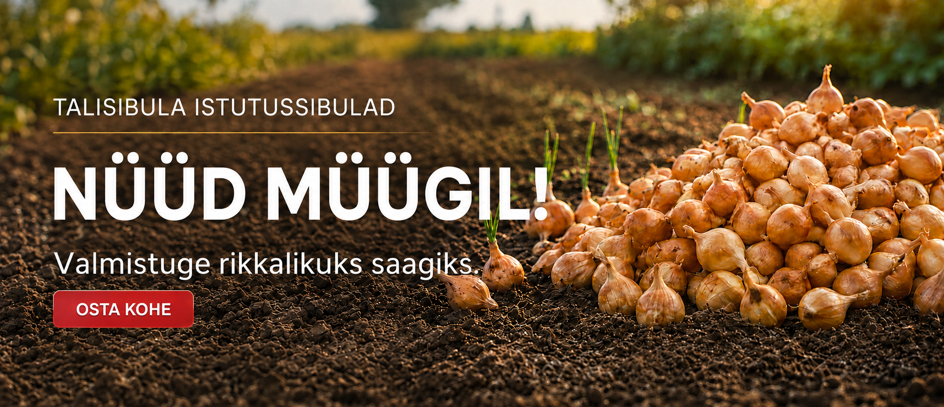 Svogūnų rezervacija EE