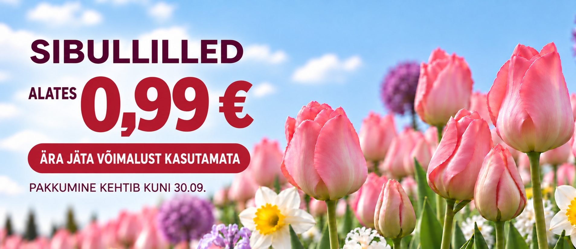 Svogūninių akcija nuo 1,99€ EE